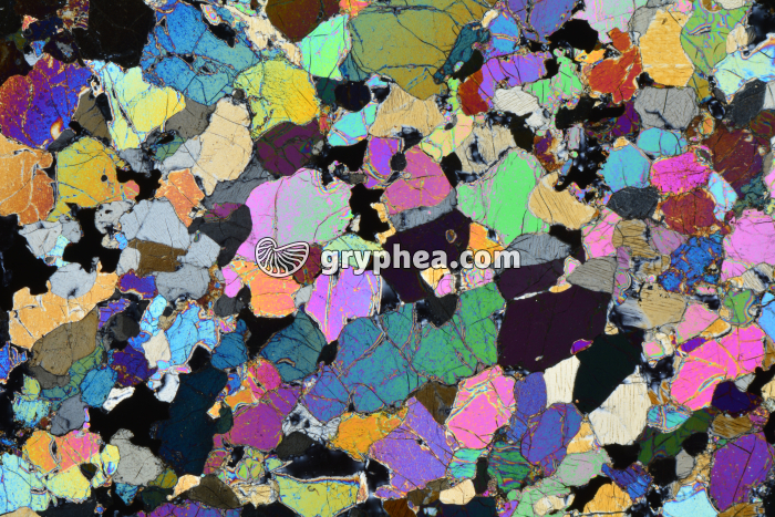 Péridotite LPA x3,5 - gryphea.com